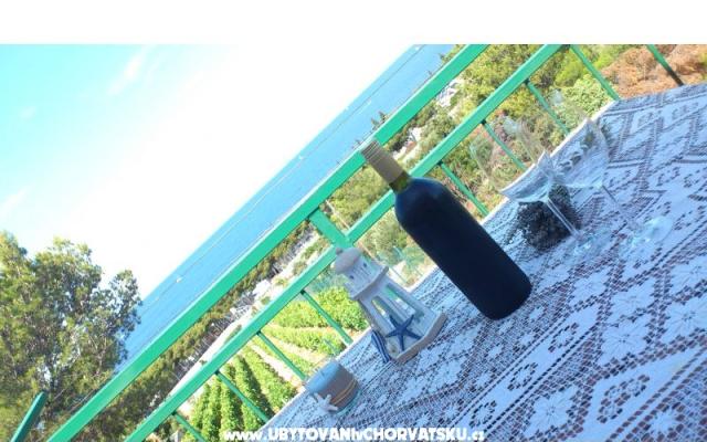Apartmaji vila Diana - apartmaji Primošten Hrvaška