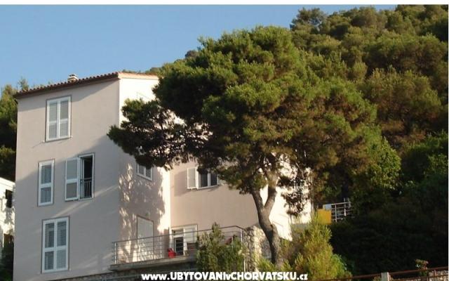 Vila Andrea - apartmaji Primošten Hrvaška