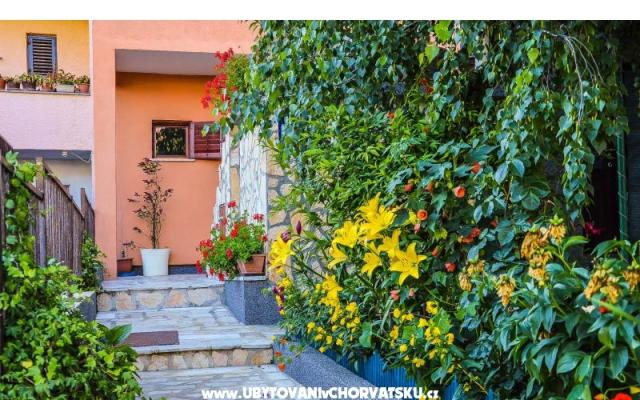 Apartma M&amp;M - apartmaji Pula Hrvaška
