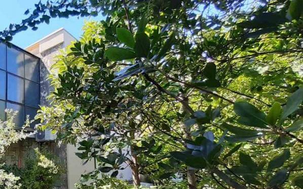 Apartma Zora Pula - apartmaji Pula Hrvaška