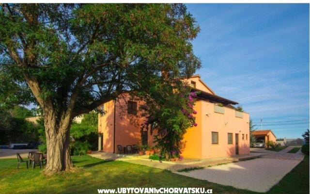 Apartmaji Viktor - apartmaji Pula Hrvaška