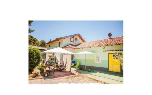 Apartma Melany - apartmaji Šibenik Hrvaška