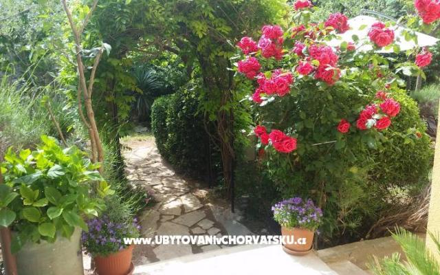 Vila Arboretum Šibenik - apartmaji Šibenik Hrvaška