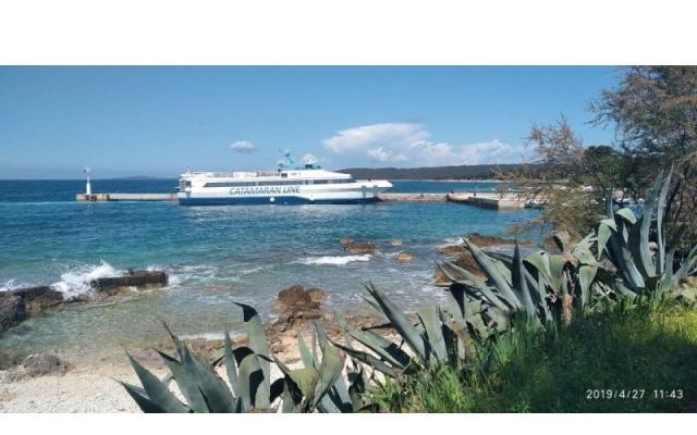 Apartma Raj na zemlji - apartmaji otok Sestrunj Hrvaška