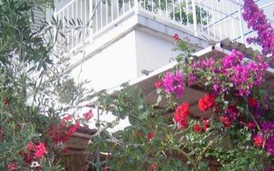 Apartmaji Zdravka -15% - apartmaji otok Šolta Hrvaška