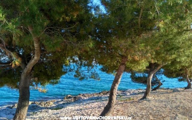 Apartmaji Vujica  - apartmaji Trogir Hrvaška