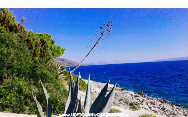 Goga Apartmaji - apartmaji Trogir Hrvaška
