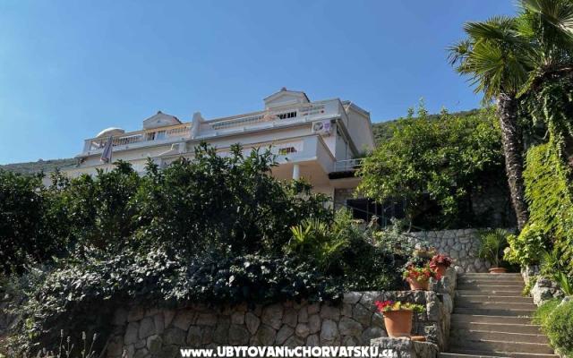 Vila Nautilus luxury Apartmaji - apartmaji Trpanj - Pelješac Hrvaška