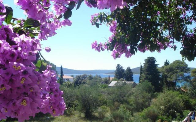 Apartmaji Branko Vidaković - apartmaji otok Ugljan Hrvaška