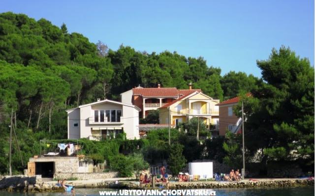 Apartmaji Tereza - apartmaji otok Ugljan Hrvaška