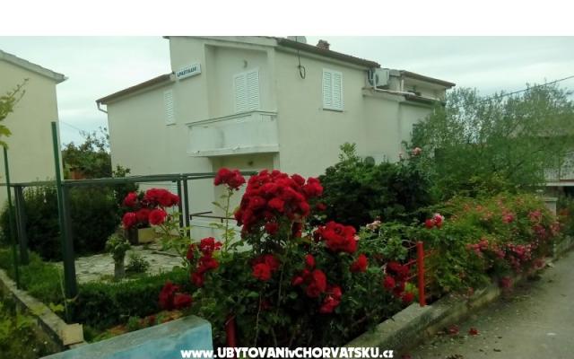 Apartmaji Tomislav - apartmaji otok Ugljan Hrvaška