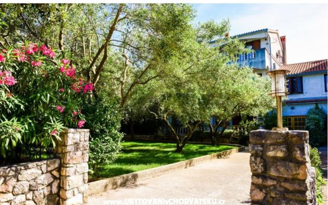 Apartmaji Mrva - apartmaji otok Ugljan Hrvaška