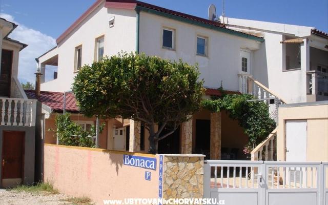Apartma Marovic - apartmaji otok Vir Hrvaška