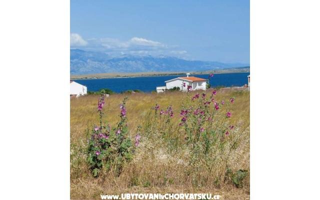 Apartmaji Mišković - apartmaji otok Vir Hrvaška