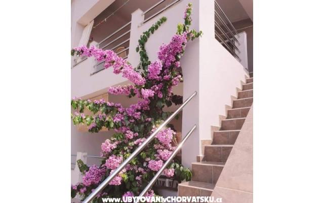 Apartmaji Maja - apartmaji otok Vir Hrvaška