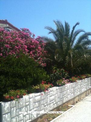 Apartma Lučica - apartmaji otok Vir Hrvaška