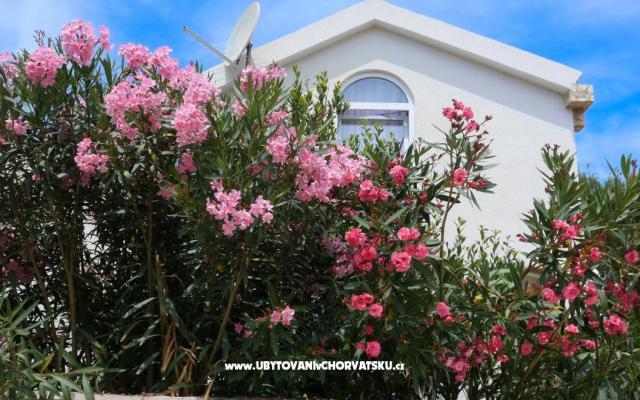 Apartmaji Podlesek - apartmaji otok Vir Hrvaška