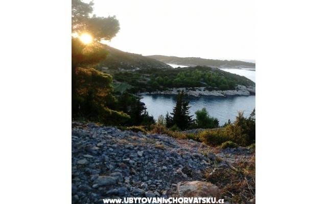 Apartmaji Bilić - apartmaji otok Vis Hrvaška