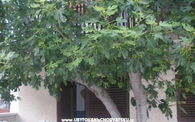 Apartmaji  Smokva   - apartmaji Vodice Hrvaška