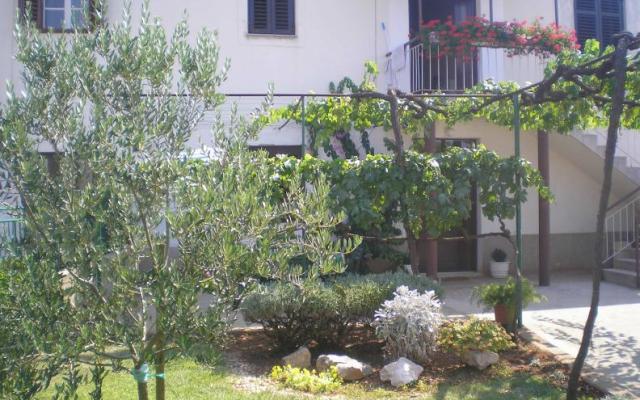 Apartma  Dalmacija - apartmaji Zadar Hrvaška