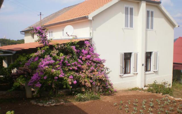 Hiša Branka - apartmaji Zadar Hrvaška