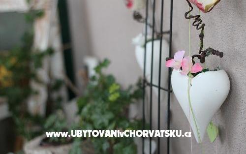 Olive Garden Zadar - apartmaji Zadar Hrvaška