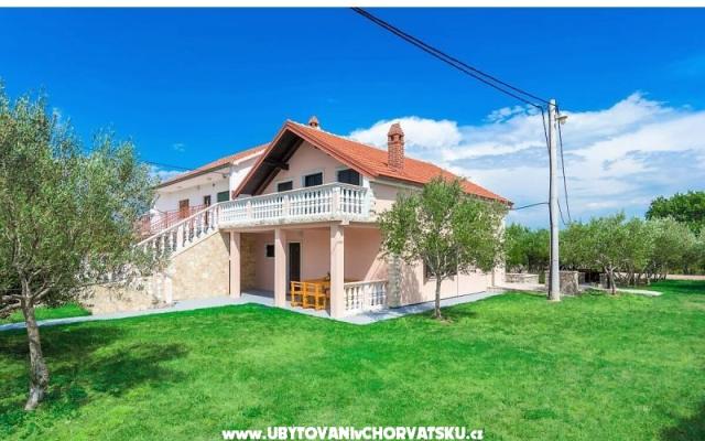 Vacation house Maslina - apartmaji Zadar Hrvaška