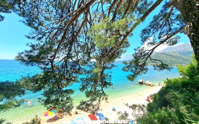 Počitniški dom Burmaz - Zaostrog - apartmaji Zaostrog Hrvaška