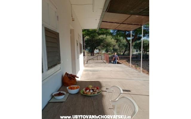 Apartma Viter - apartmaji Zaostrog Hrvaška