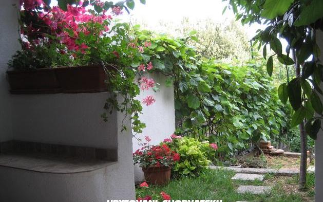 Apartmaji Brajković - apartmaji Živogošće Hrvaška