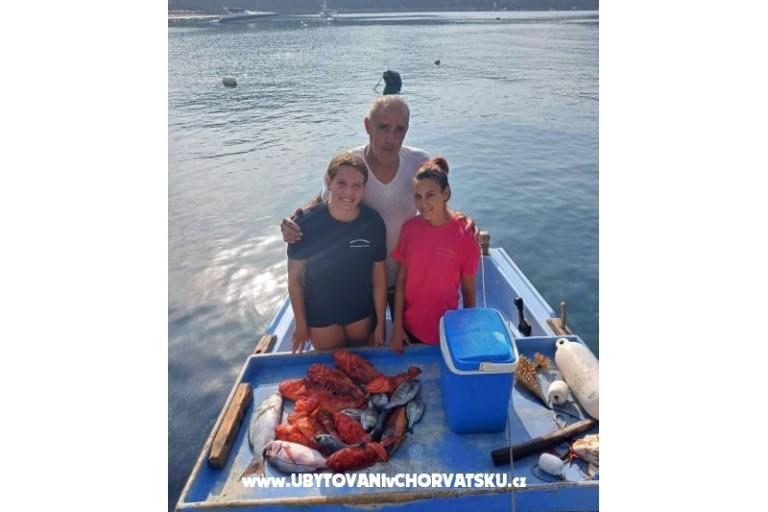 Apartmaji Ivo Mljet – foto 7
