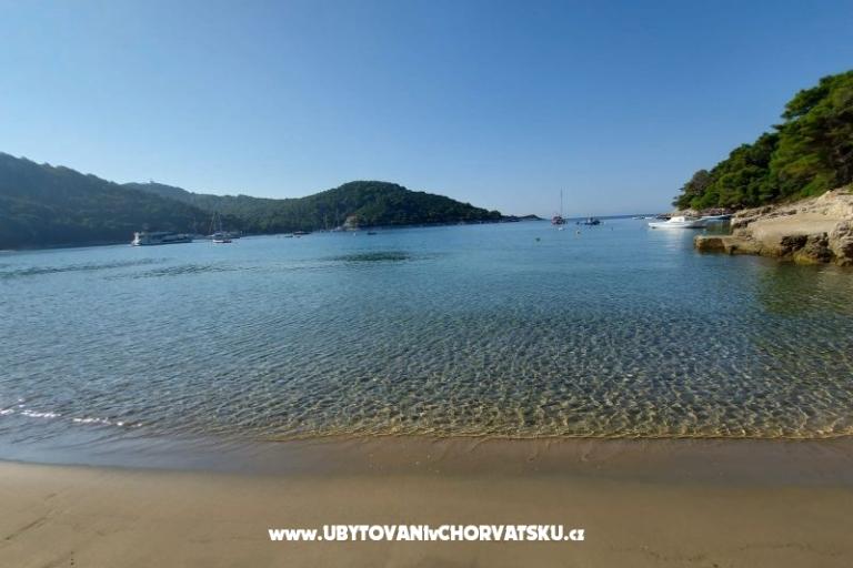 Apartmaji Ivo Mljet – foto 9