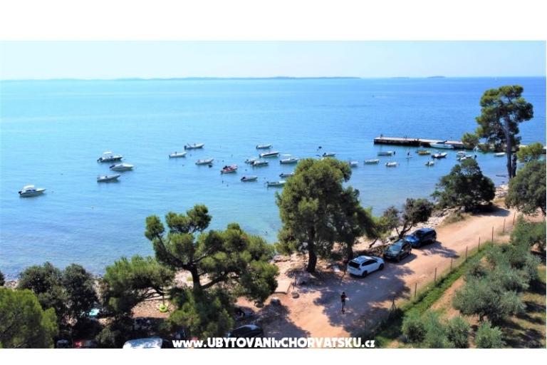 Apartmaji Lisicak – foto 16
