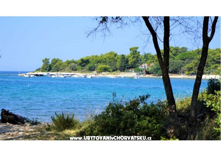 Apartmaji Lisicak – foto 6