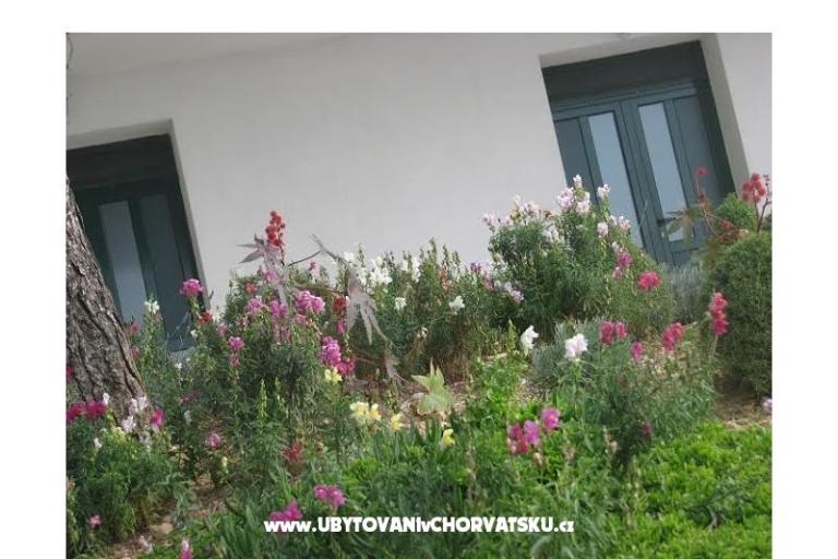 Ana Apartmaji – foto 11