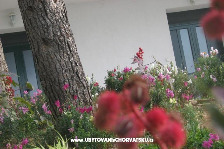 Ana Apartmaji – foto 18