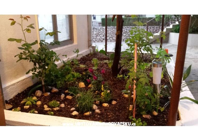 Apartma ANTON – foto 3