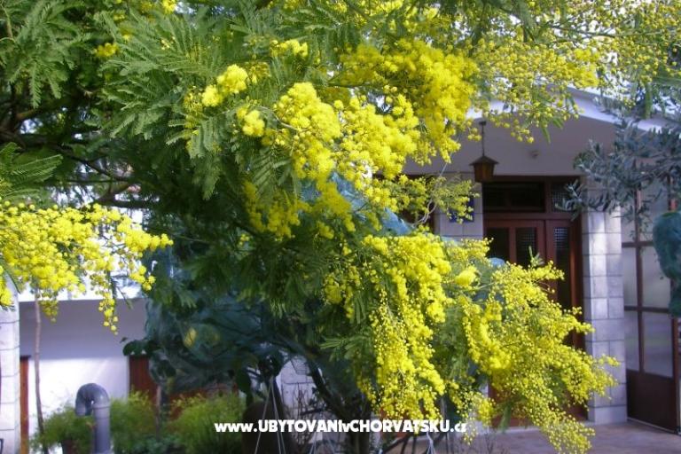 Apartmaji Bašković – foto 17