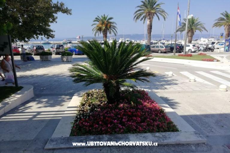 Apartmaji Divić - Villa Mateo  – foto 19