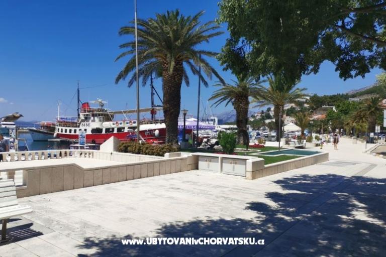 Apartmaji Divić - Villa Mateo  – foto 23