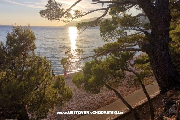 Apartmaji Divić - Villa Mateo  – foto 27