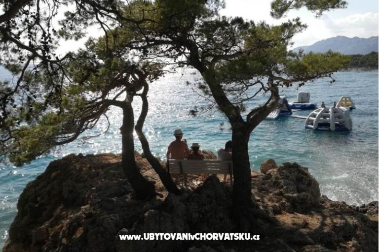 Apartmaji Divić - Villa Mateo  – foto 30