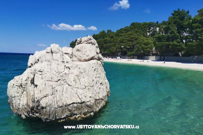 Apartmaji Divić - Villa Mateo  – foto 32