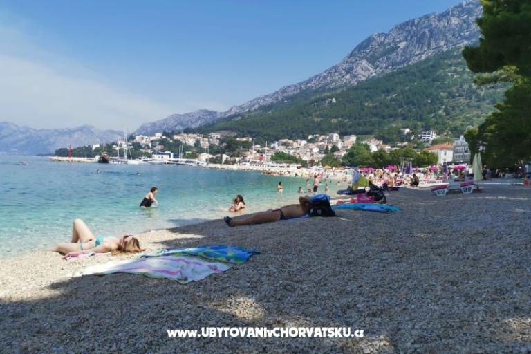 Apartmaji Divić - Villa Mateo  – foto 34