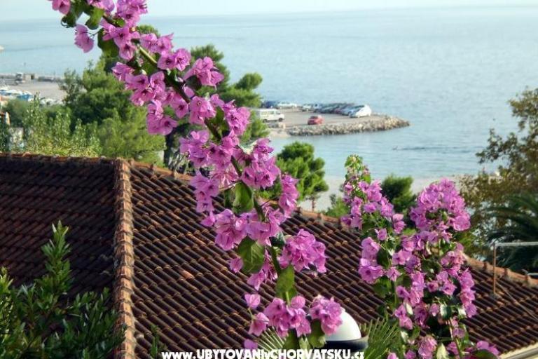 Apartmaji Jurišić – foto 17