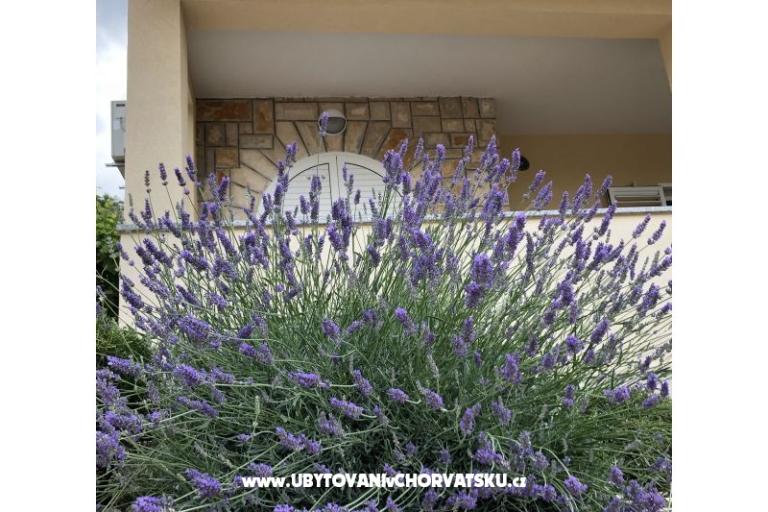 Apartmaji Iva – foto 10