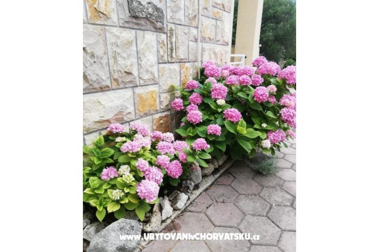 Apartmaji Iva – foto 12