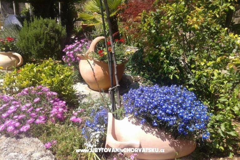 Apartmaji Sulic-Krvavica – foto 24