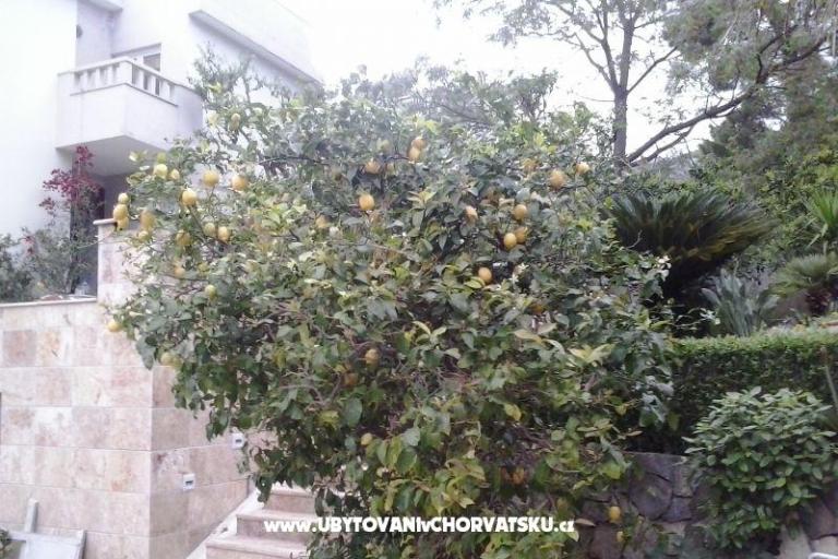 Apartmaji Sulic-Krvavica – foto 26