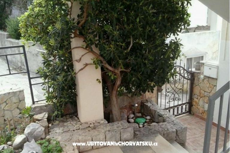 Apartma Rose – foto 16